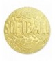 Softball Gold Chenille Sports Lapel