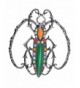 Alilang Rhinestones Colorful Insect Brooch