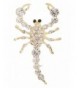 Scorpion Brooch 2 25 Crystal Accents