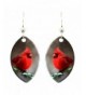 dears Cardinal Earrings 1438