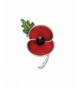 Brooches Remembrance Sunday Rhinestone Banquet