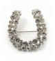 Clear Crystal Horseshoe Brooch Silver