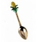 6030174 Commemorative Bahamas Spoon Decorative